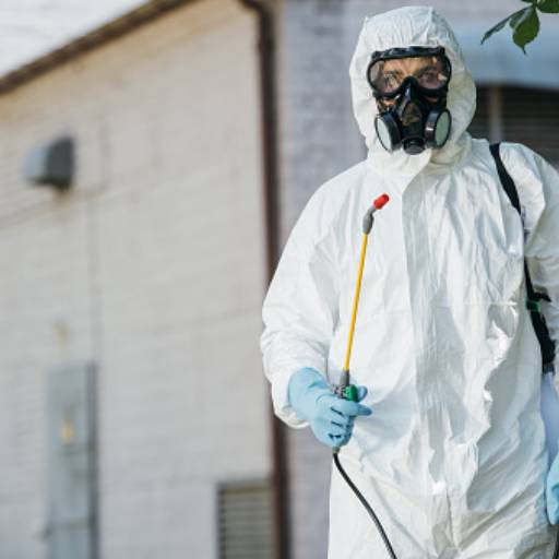 Desinsetização por Mult Serv Dedetizadora