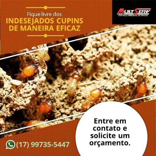 Descupinização por Mult Serv Dedetizadora