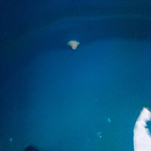 Limpeza de Caixa D'água por Mult Serv Dedetizadora