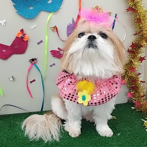 Banho temático - CarnavAU em Bauru por Tia Angela Centro de Estética Animal