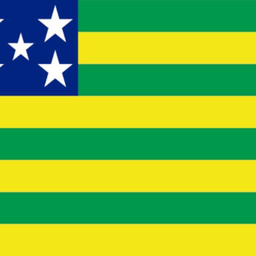 Bandeira de Goiás por Jairo Jaime Bandeiras e Flâmulas
