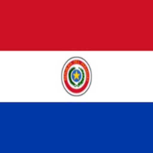 Bandeira do Paraguai por Jairo Jaime Bandeiras e Flâmulas
