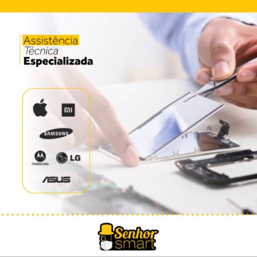 Assistência Técnica Especializada
