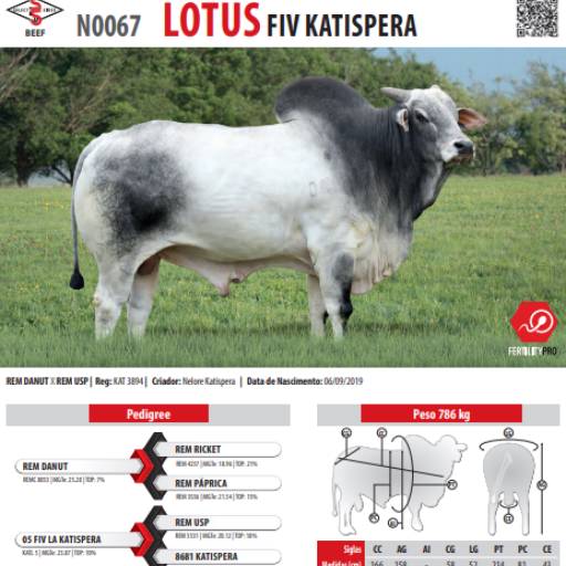 Touro Nelore Lotus FIV Katispera (N0067)