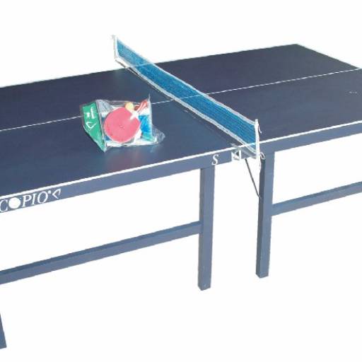 Ping-Pong Oficial Procópio