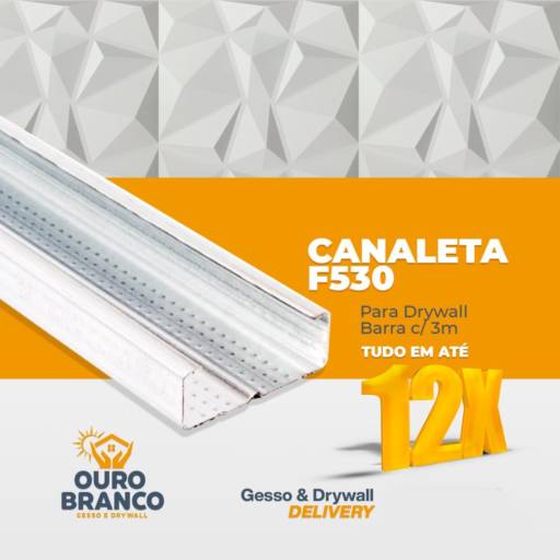Perfil F530 Barra /3m