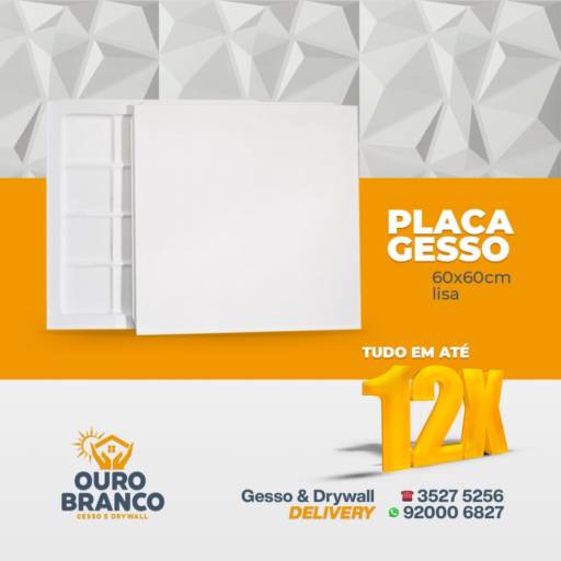 Comprar o produto de Placa Gesso Convencional 60x60 em Revestimento de Parede pela empresa Gesso Ouro Branco em Foz do Iguaçu, PR por Solutudo