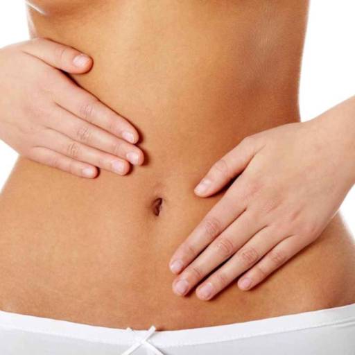 Lactobacilos por Farmalu - Farmácia de Manipulação