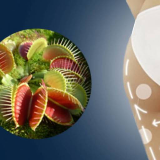 Adipo Trap em Bom Jesus dos Perdões, SP por Farmalu - Farmácia de Manipulação