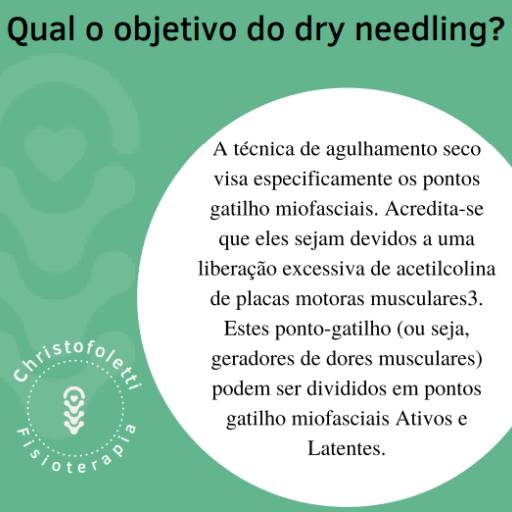 Dry Needling por Clínica Christofoletti Fisioterapia Estética Pilates