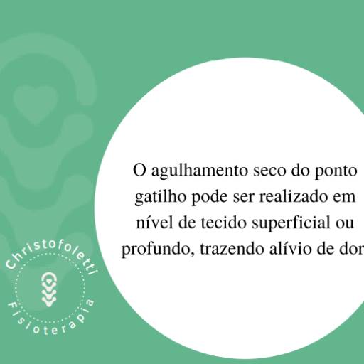 Dry Needling por Clínica Christofoletti Fisioterapia Estética Pilates
