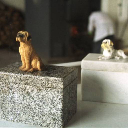 Comprar o produto de Crematório Pet em Cemitérios e Crematórios de Animais pela empresa OSAB em Lauro de Freitas, BA por Solutudo