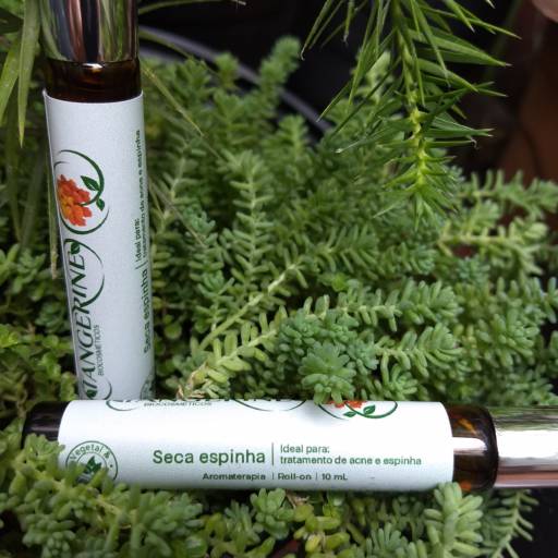 Comprar o produto de Roll-on Terapêutico: Seca Espinha em Aromaterapia pela empresa Tangerine Biocosméticos em São Paulo, SP por Solutudo