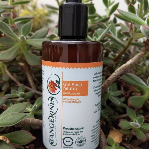 Gel Base Neutro por Tangerine Biocosméticos - São Paulo em São Paulo, SP por Tangerine Biocosméticos Gel Base Neutro por Tangerine Biocosméticos - São Paulo em São Paulo, SP por Tangerine Biocosméticos