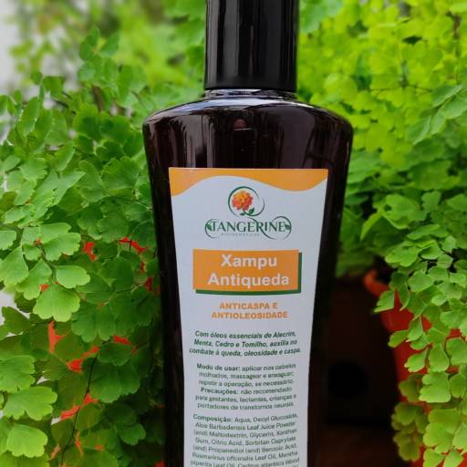 Shampoo Equilibrante por Tangerine Biocosméticos São Paulo
