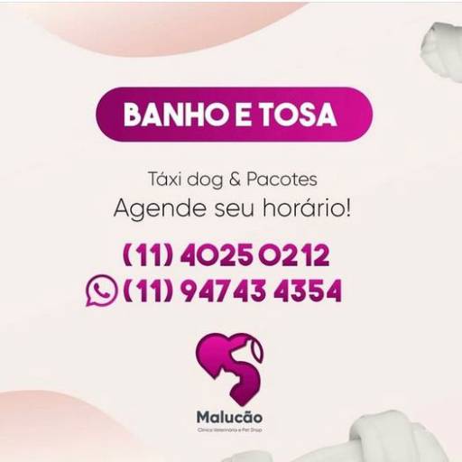 Banho e Tosa por Clinica Veterinaria Malucao Ltda