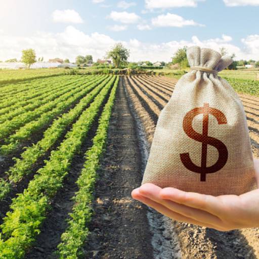 ITR - Imposto de Território Rural