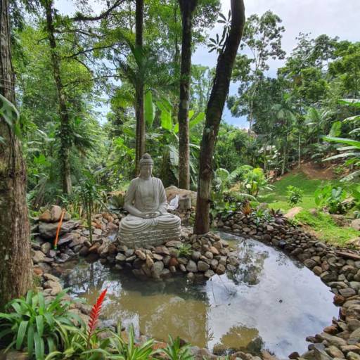 Lago por Estatuas 4 Estações pr