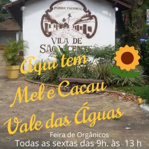 Mel e Cacau na Feira de orgânicos de São Vicente por Meliponário e Apiário Vale das Águas -Mel & Cacau
