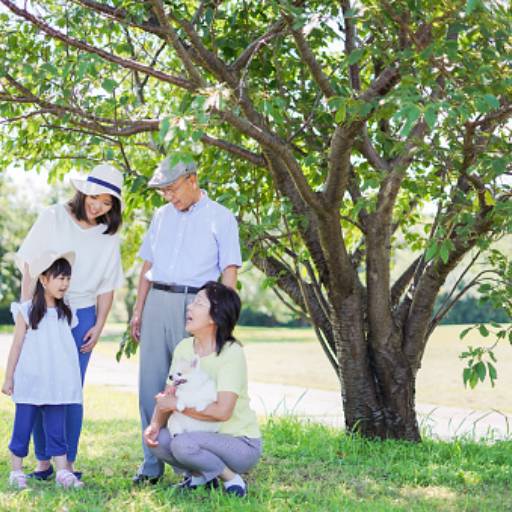 Seguro Viagem por Gallera Corretora De Seguros  Seguro Viagem por Gallera Corretora De Seguros
