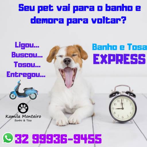 Banho e Tosa EXPRESS 
