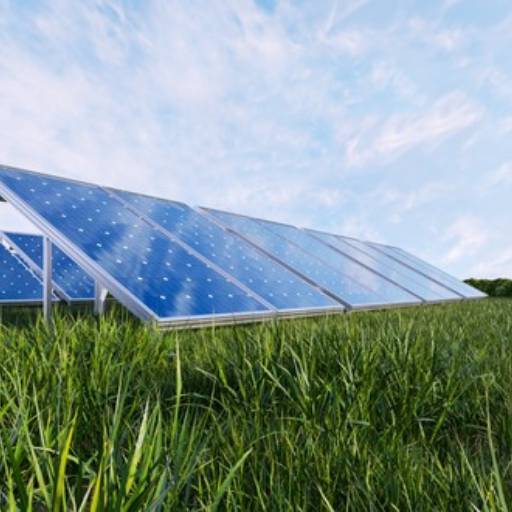 Projetos Fotovoltaicos para o Agronegócio Ongrid por Energy Brasil Botucatu