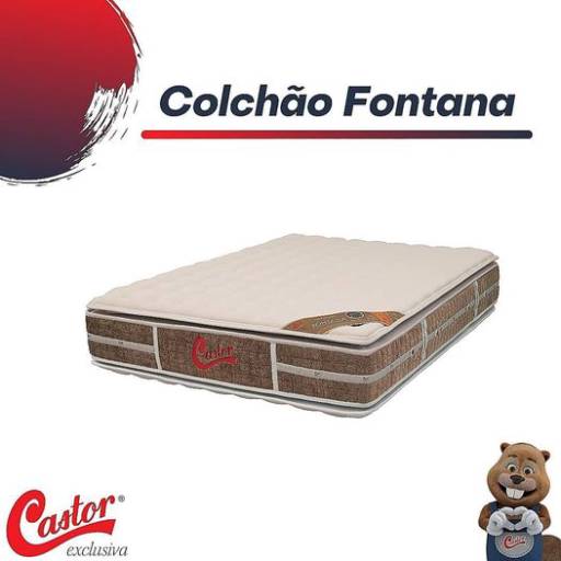 Comprar o produto de Colchão Fontana em Bauru em Colchões pela empresa Exclusiva Castor (Antônio Alves) em Bauru, SP por Solutudo