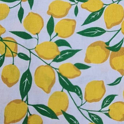 Coleção Cítrica - Londrimais por Londrimais 