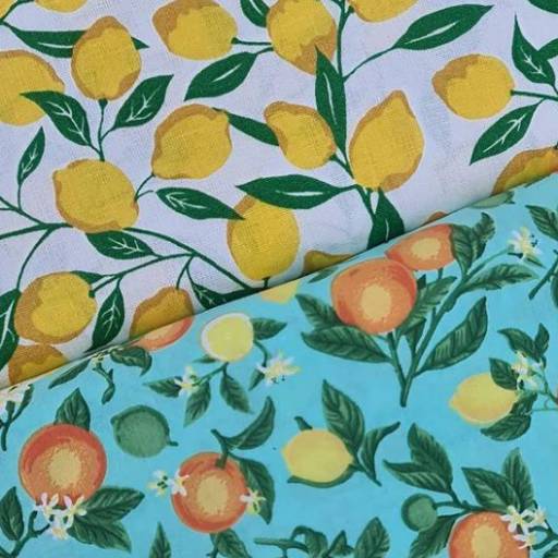 Coleção Cítrica - Londrimais por Londrimais 