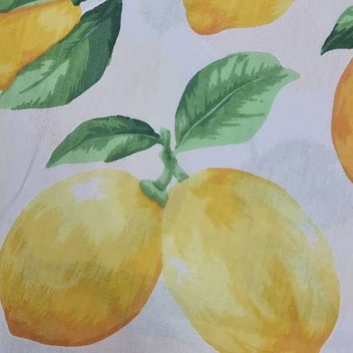 Coleção Cítrica - Londrimais por Londrimais 