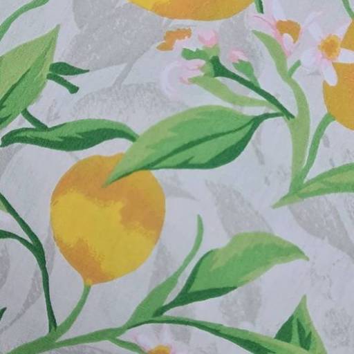 Coleção Cítrica - Londrimais por Londrimais 