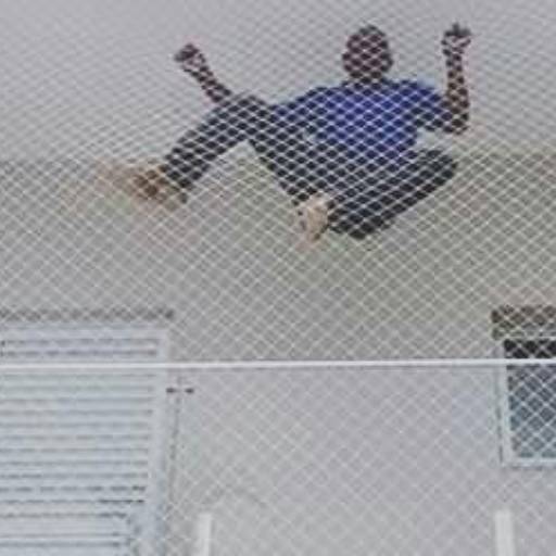 Redes de Proteção por Nelson Redes de Proteção