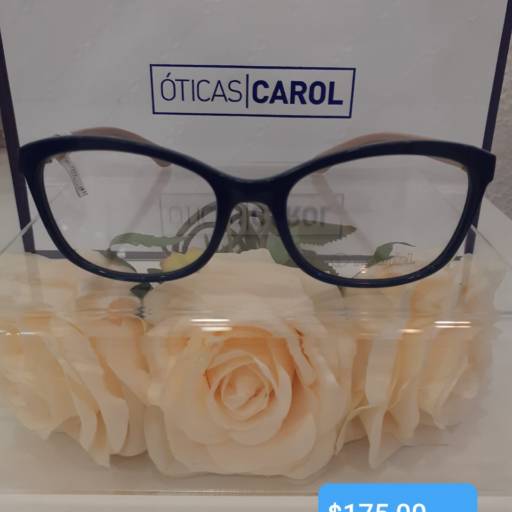 Óculos de Grau por Óticas Carol