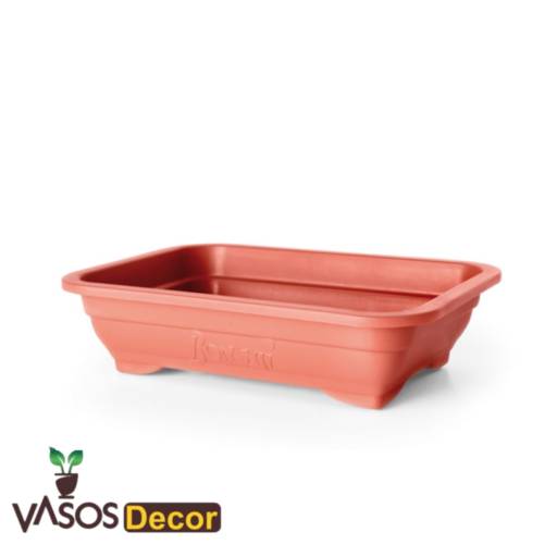 VASO BONSAI CERAMICA NUTRIPLAN por Vasos Decor