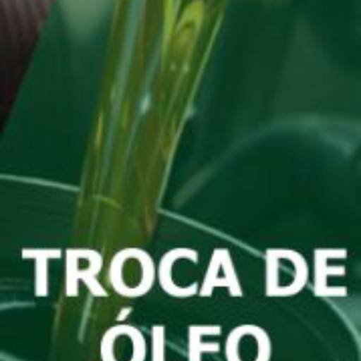 Comprar o produto de Troca de Óleo - Delivery Baterias Brasília em Oficinas Mecânicas para Carros pela empresa Delivery Baterias em Brasília, DF por Solutudo