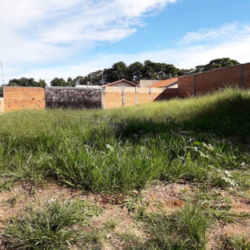 Limpeza de terreno por Soluções Residenciais