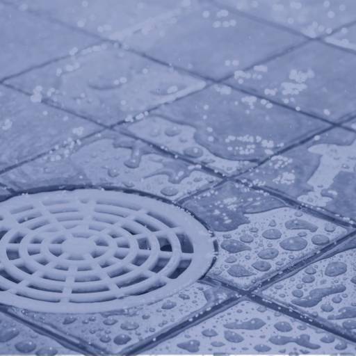 Desentupimento por Lanprag Controle de Pragas Urbanas em Jundiaí