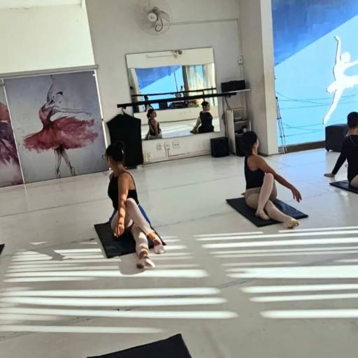 Ballet Clássico Método Royal  em Bauru, SP por Ballet Art Scheila do Valle