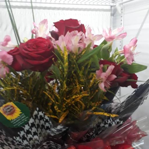 Comprar o produto de Presentes para o Dia das Mães  em Presentes pela empresa Floricultura Girassol Jardim em São Manuel, SP por Solutudo