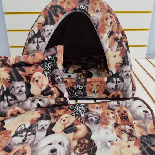 Caminha para Pet em Avaré  por Center Rações Store