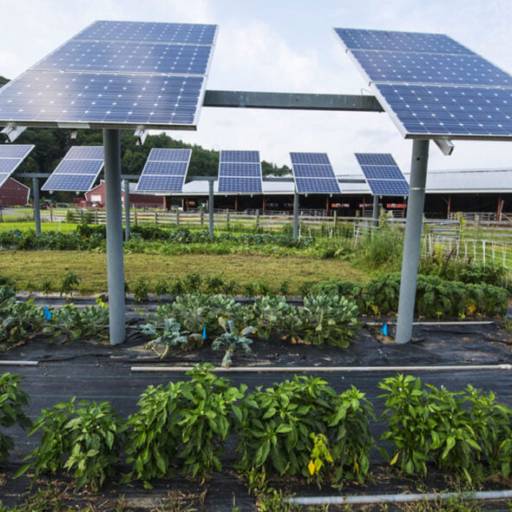 Comprar o produto de Energia solar para o agronegócio em Energia Solar pela empresa Bona Solar em Araras, SP por Solutudo