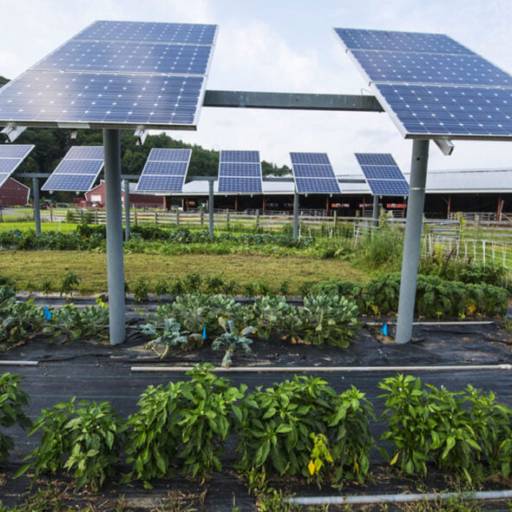 Energia Solar para Agronegócio por Bona Solar 