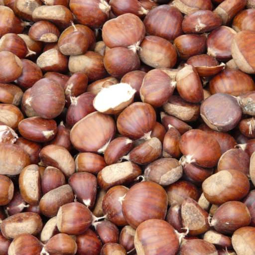 Castanhas  por Mercearia Alimentos Naturais