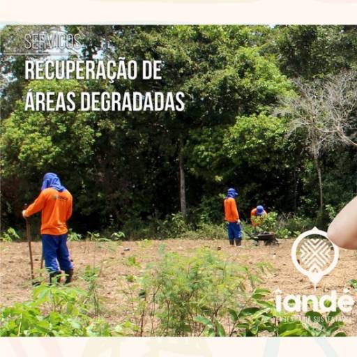 Comprar o produto de Serviços Recuperação de Áreas Degradadas em Consultoria Ambiental pela empresa Îandére Engenharia Sustentável em Aracaju, SE por Solutudo