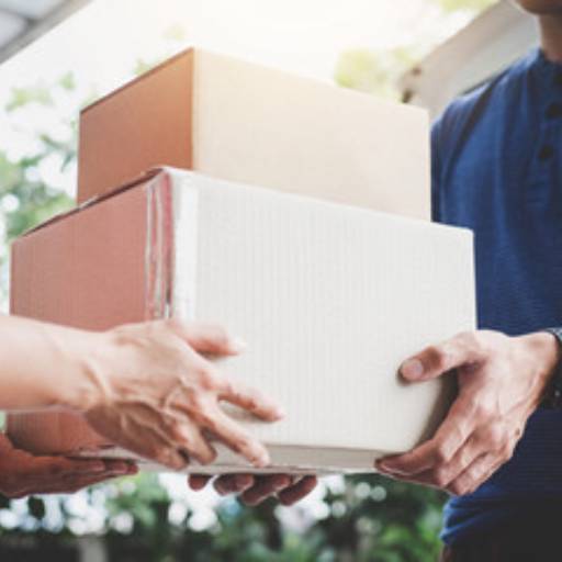 Entregas por Transportadora Pachu