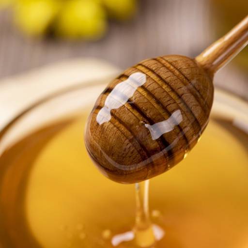 Comprar o produto de Mel de abelhas sem ferrão em Apiários - Mel e Derivados pela empresa Meliponario Savieto em Jundiaí, SP por Solutudo