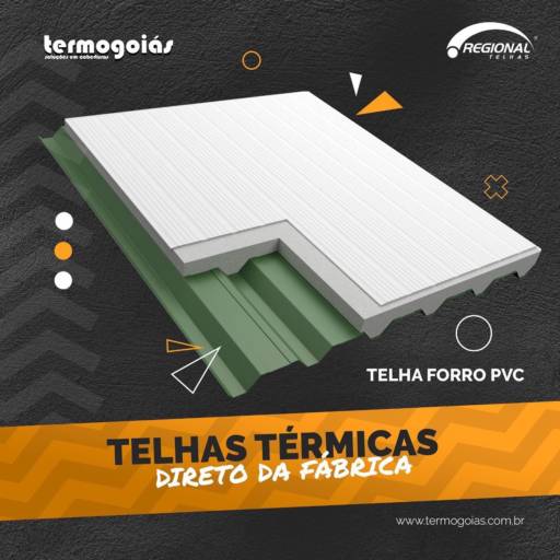 Telha Forro  PVC por Termogoiás Soluções em Coberturas