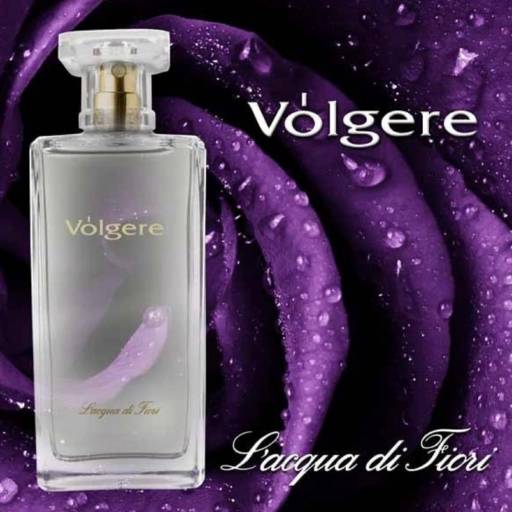 Comprar o produto de V'olgere em Perfumarias - Cosméticos pela empresa L'Acqua Di Fiori em Jundiaí, SP por Solutudo