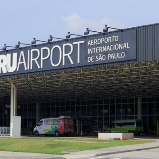 Translado para Aeroporto de Guarulhos (Cumbica) por TransFox - Transporte Executivo