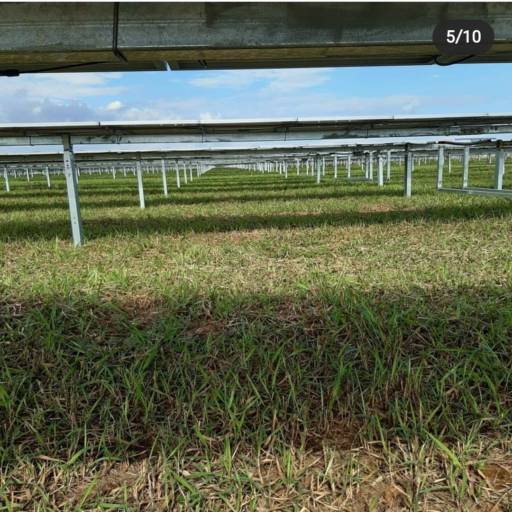 Limpeza em Usina fotovoltaicas